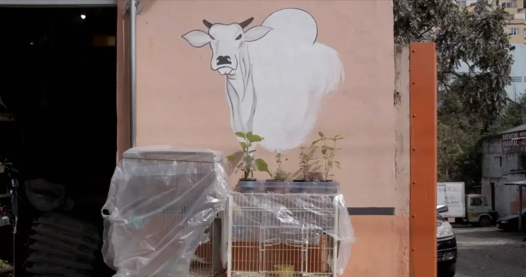 O Porão — documentário, imagem 2