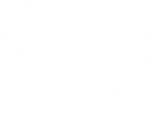 Vertifilms 2020