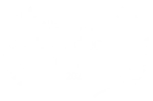 ALC VideoArt Festival 2021, Alicante