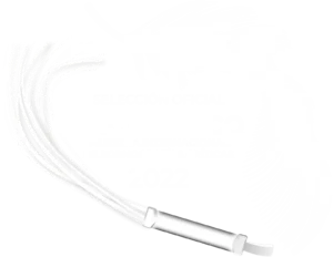 Excéntrico — Muestra Internacional de Pornografías Críticas 2022
