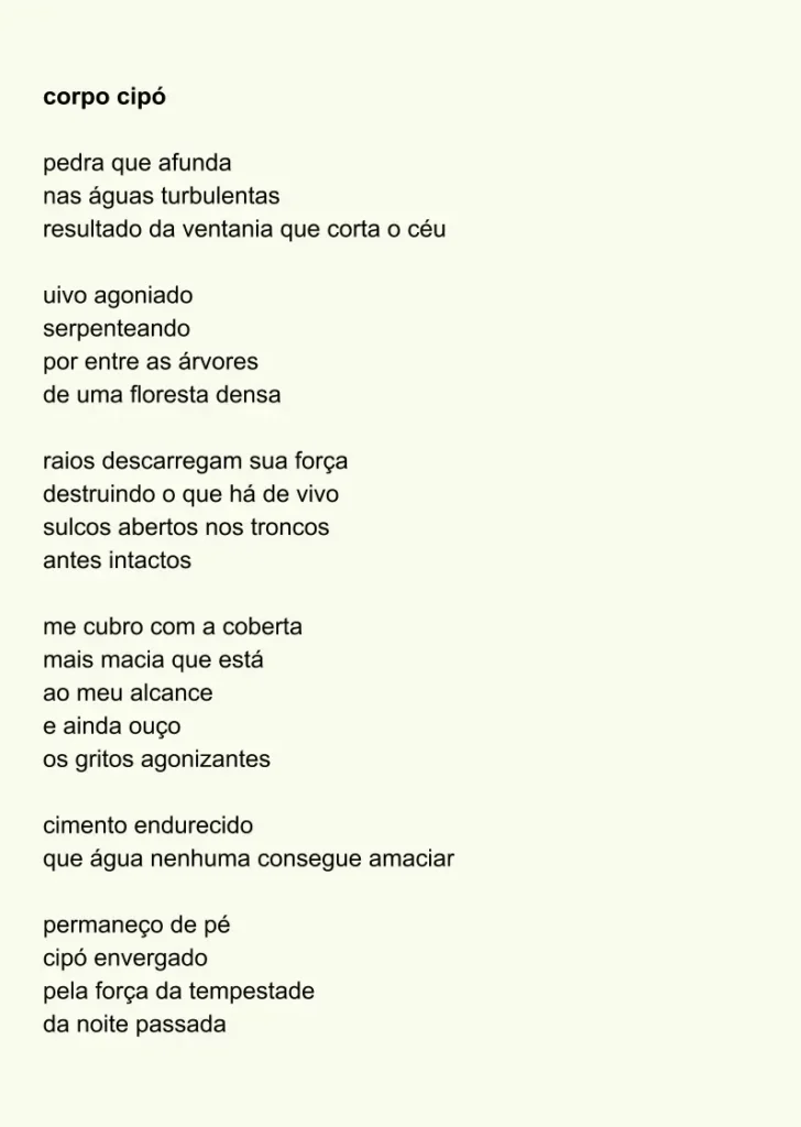 o que altera o peso das coisas — literatura, imagem 7