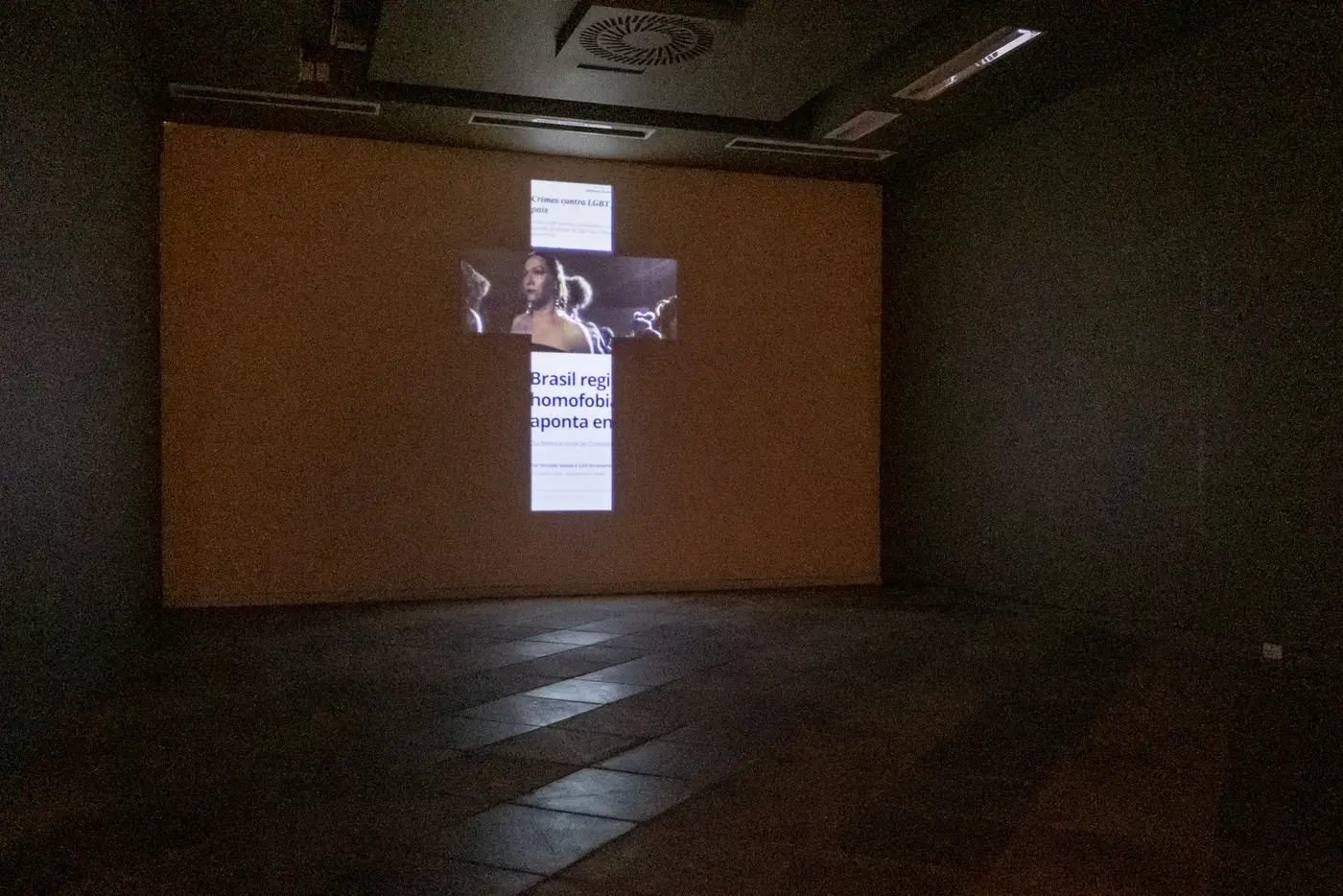 Projeção de do peito da pele em forma de cruz numa sala escura do MASC, no Salão Nacional Victor Meirelles