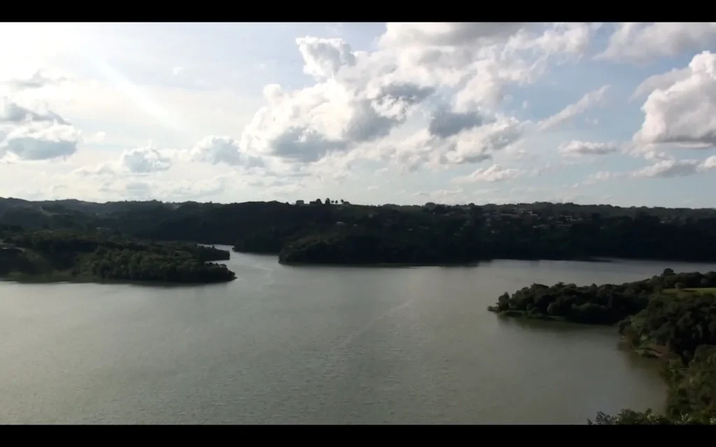 Prisma (2013): vista do lago cercado de mata